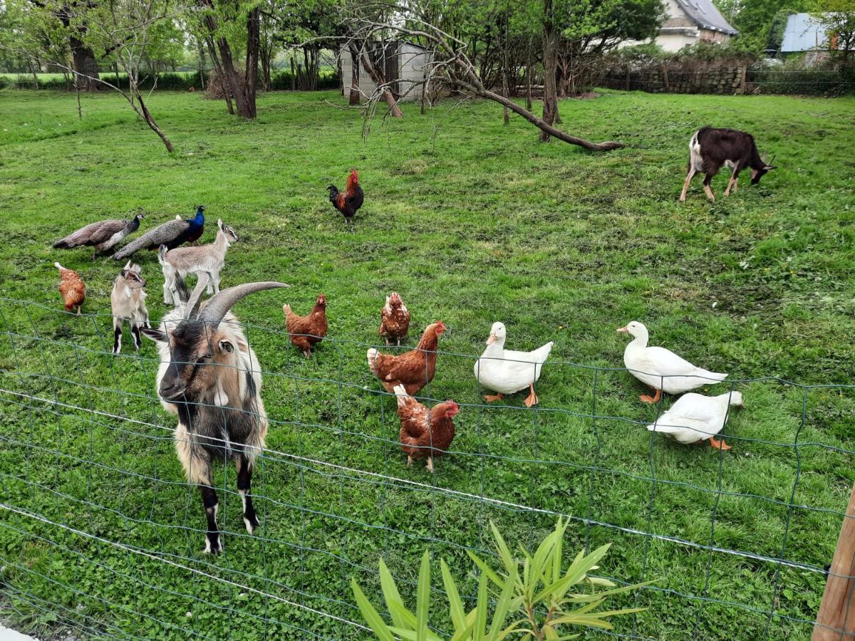 Chambres Tranquilles En Campagne Eance Dış mekan fotoğraf